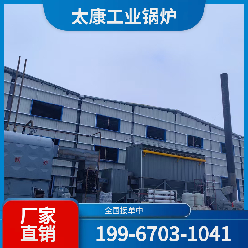 六安燃煤热水锅炉