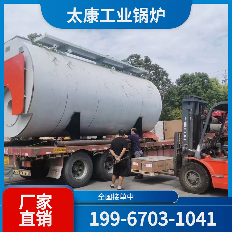 六安生物质锅炉