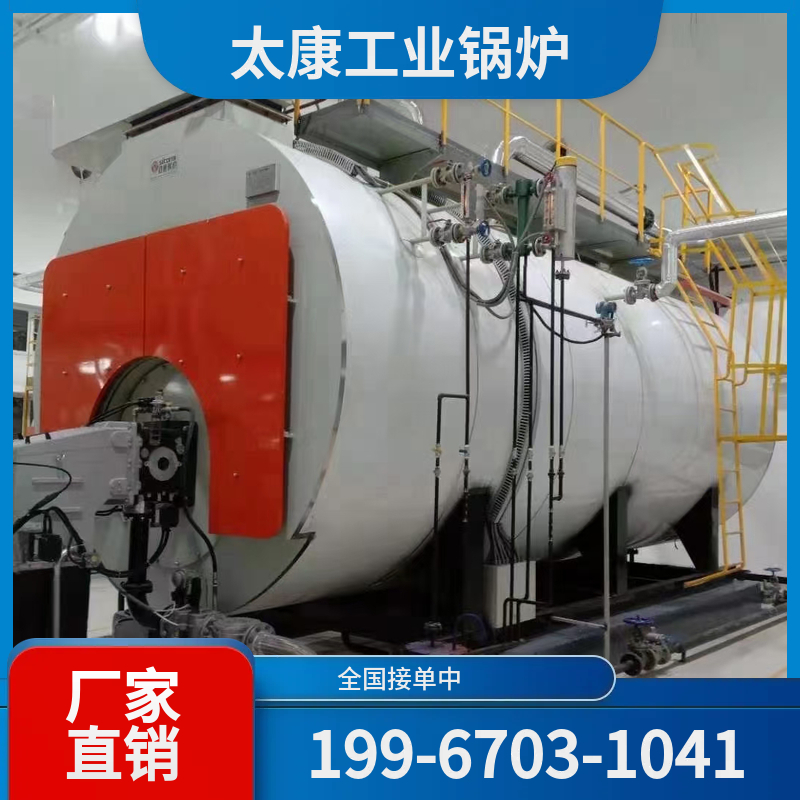 六安生物质热水锅炉